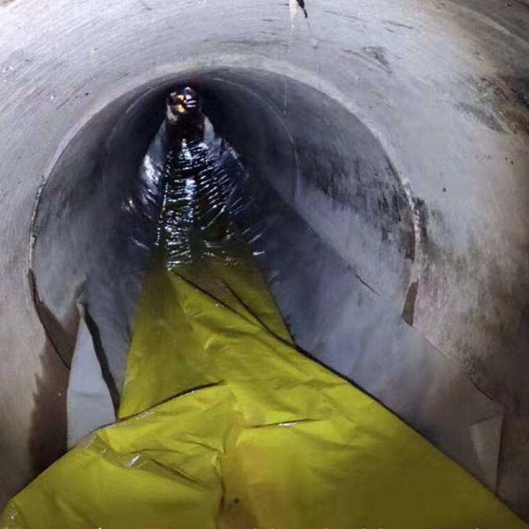 丰顺管道光固化修复